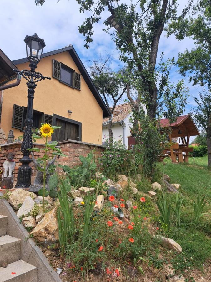 Vila Macskajaj Vendeghaz Mecseknádasd Exteriér fotografie